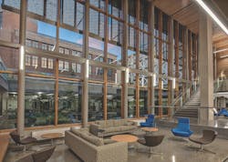 architectural wall system delivers natural wood LOOK