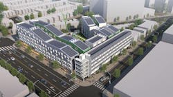 The Branches The Branches