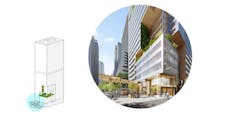 Midlife Metamorphosis phase one Midlife Metamorphosis phase one