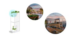 Midlife Metamorphosis phase two Midlife Metamorphosis phase two