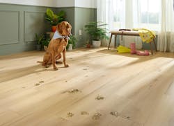 Ingenious Plank hybrid resilient flooring