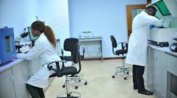 Image by SAMUEL GABRIEL from Pixabay