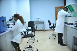 Image by SAMUEL GABRIEL from Pixabay