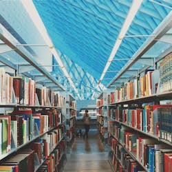 Image by StockSnap from Pixabay