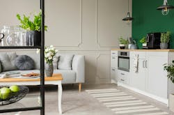 Empty green wall with copy space in elegant kitchen with white furniture,plants and coffee machine in stylish small micro-apartment with grey couch
