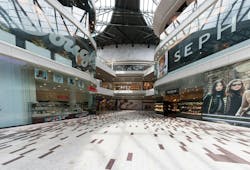 Image by Michal Jarmoluk from Pixabay Image by Michal Jarmoluk from Pixabay