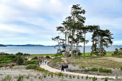 Battery Bluff Park in San Francisco transforms a former transit corridor into a 16-acre green space with trails and gardens. Photo &copy; Gareth Gooch
