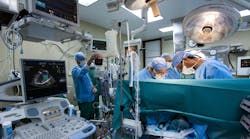 Image by Ahmad Ardity from Pixabay