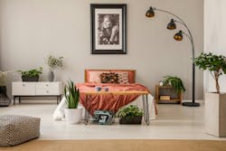 king size bed with rust color bedding in spacious bedroom interior of modern apartment, real photo king size bed with rust color bedding in spacious bedroom interior of modern apartment, real photo